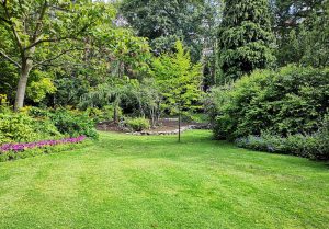 Optimiser l'expérience du jardin à Bonneuil-en-France